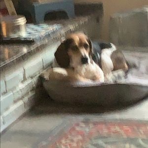 Meet your Posher, Lisandra